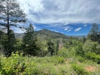 5394 Cheyenne Dr, Larkspur, CO 80118