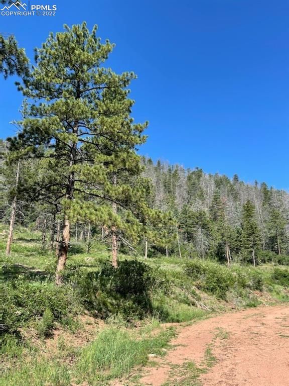 5394 Cheyenne Dr, Larkspur, CO 80118