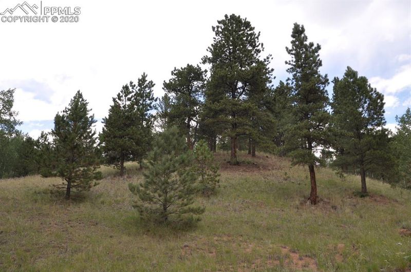 54 Eagle Dr, Divide, CO 80814