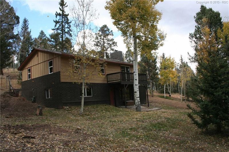 540 Jolly Rogue Dr, Divide, CO 80814