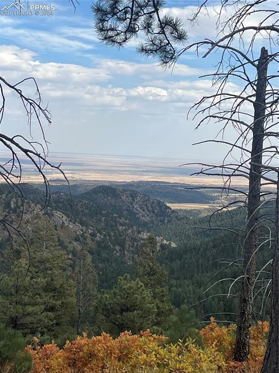 5448 Little Turkey Creek Rd, Colorado Springs, CO 80926