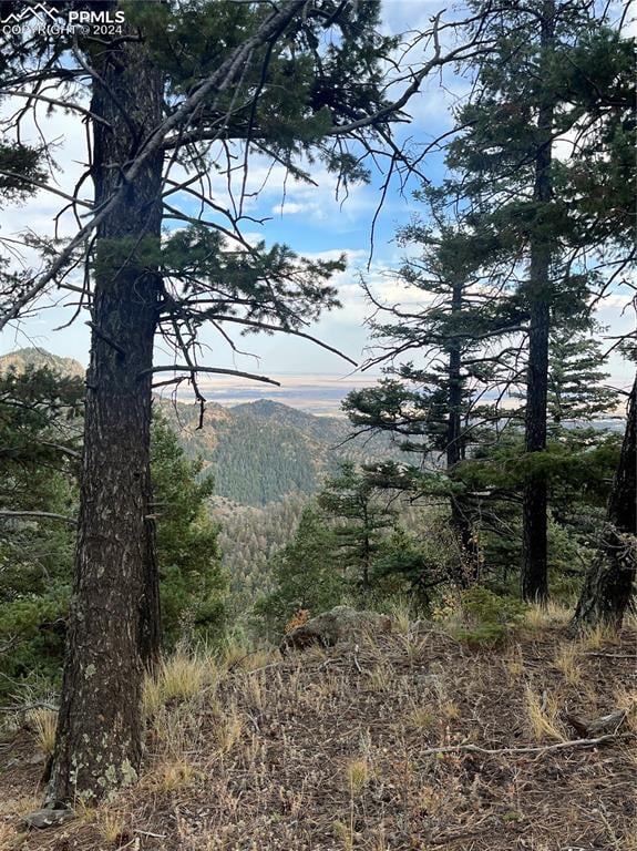 5448 Little Turkey Creek Rd, Colorado Springs, CO 80926