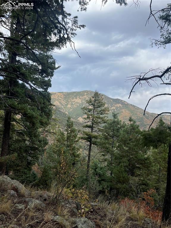5448 Little Turkey Creek Rd, Colorado Springs, CO 80926