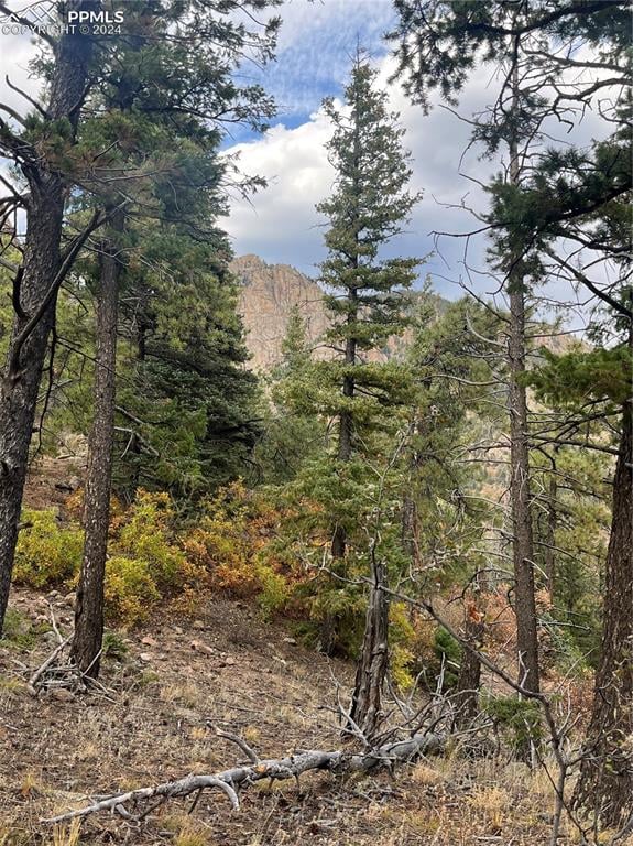5448 Little Turkey Creek Rd, Colorado Springs, CO 80926