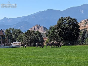 5454 Majestic Dr, Colorado Springs, CO 80919