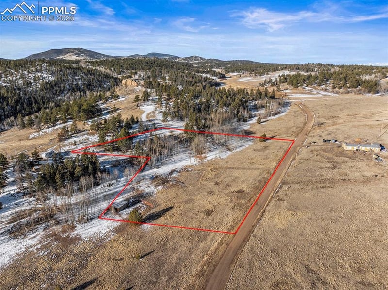 546 Alpine Meadows Ln, Florissant, CO 80816