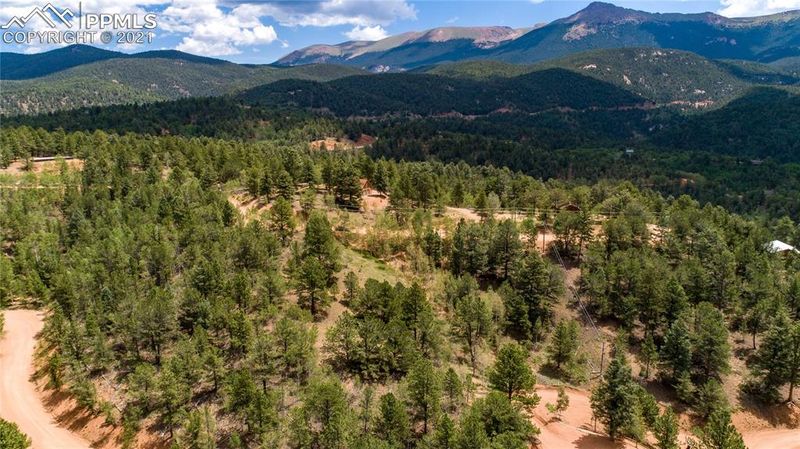 549 Horseshoe Dr, Divide, CO 80814