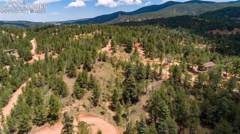 549 Horseshoe Dr, Divide, CO 80814