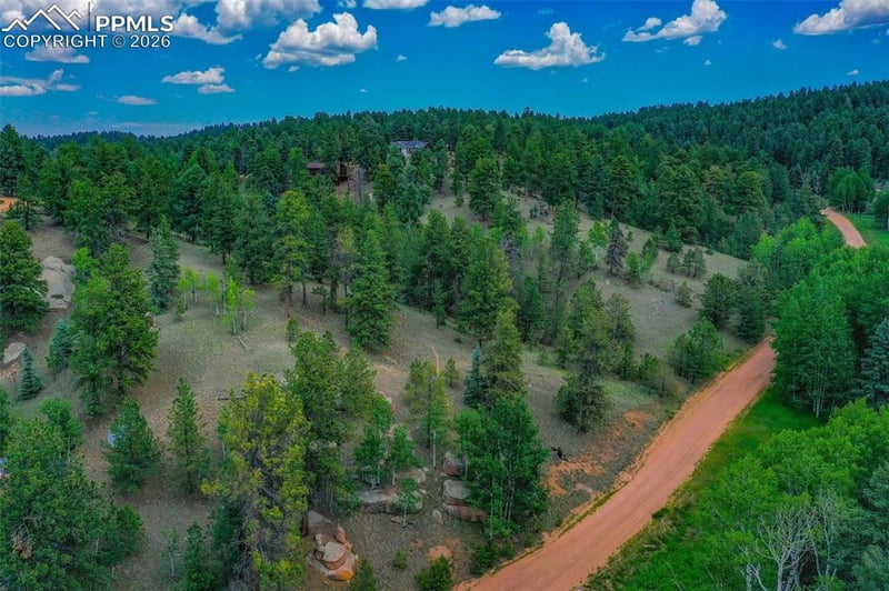 549 Spring Valley Ln, Florissant, CO 80816