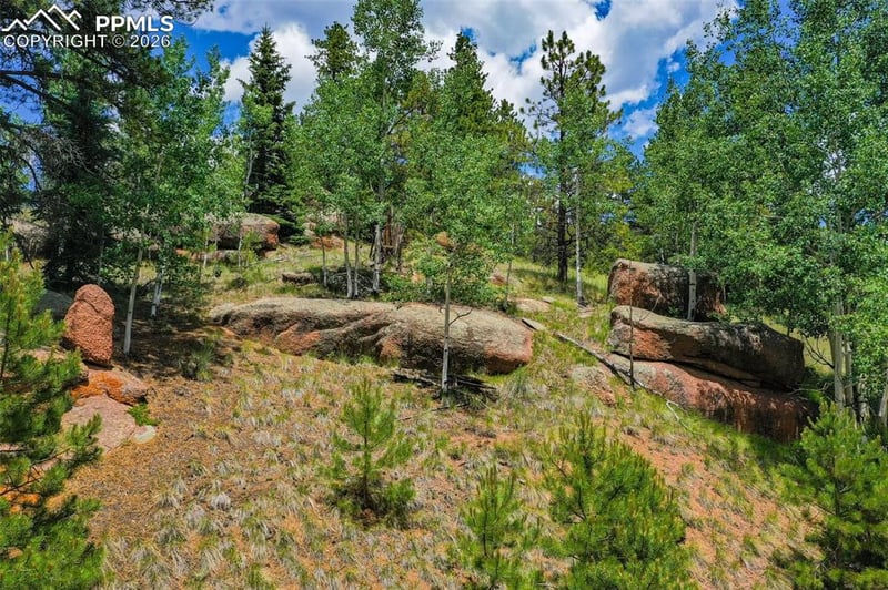 549 Spring Valley Ln, Florissant, CO 80816