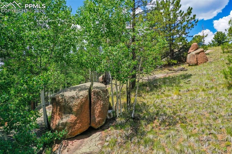 549 Spring Valley Ln, Florissant, CO 80816