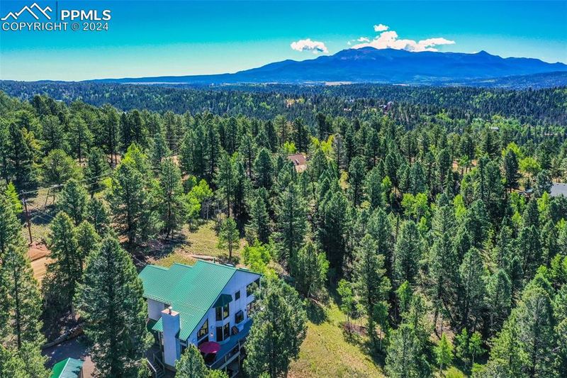 55 Badger Lake Cir, Divide, CO 80814