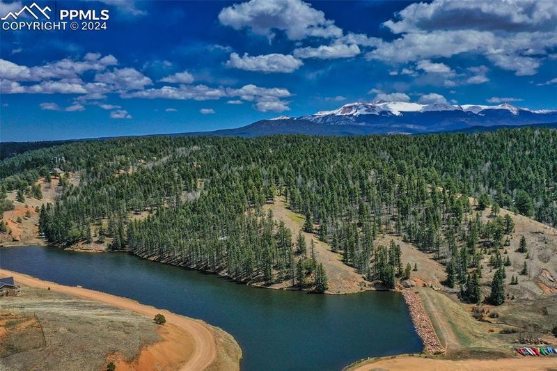 55 Badger Lake Cir, Divide, CO 80814