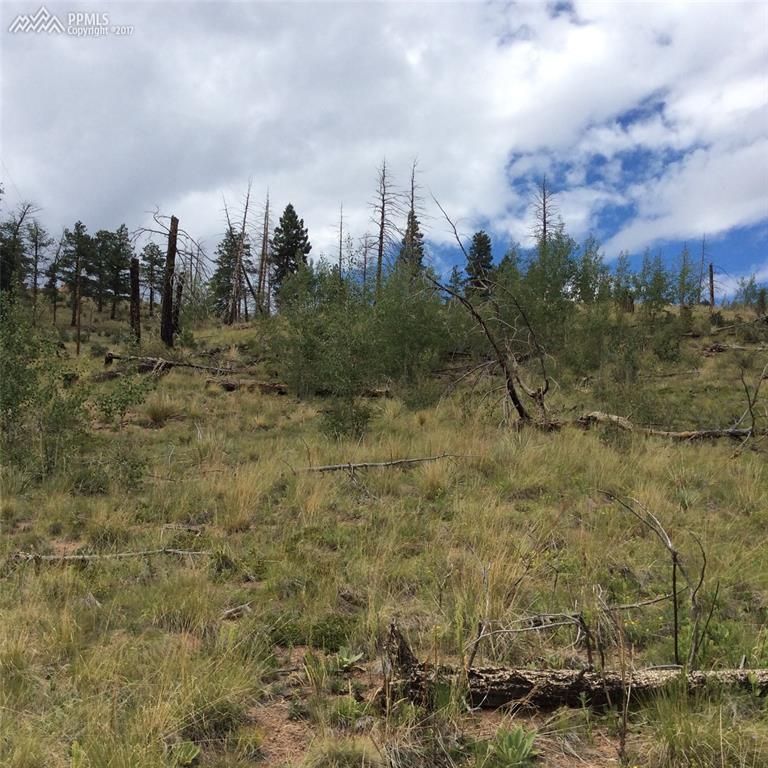 55 Hedges Cir, Sedalia, CO 80135