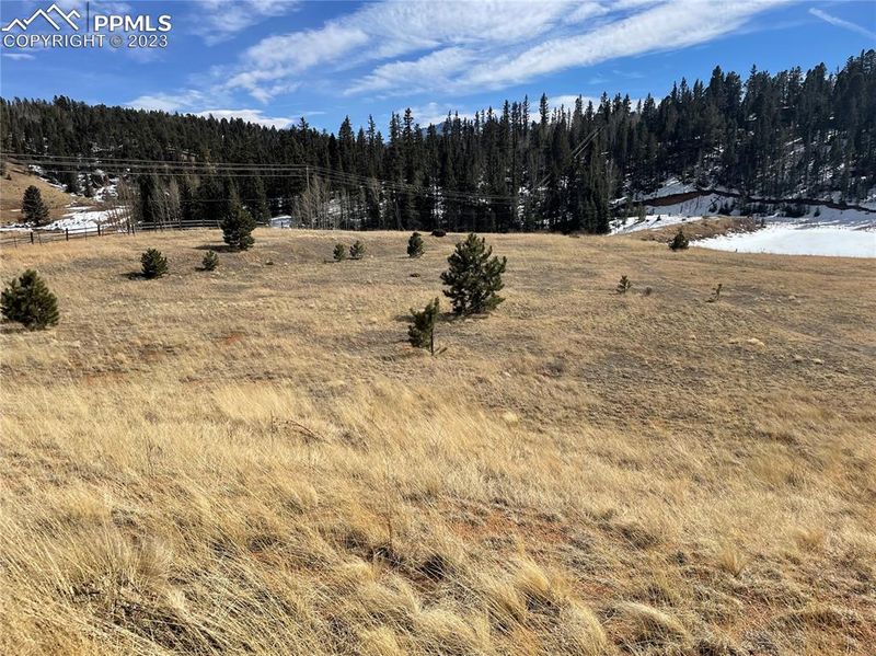 550 Shadow Lake Dr, Divide, CO 80814