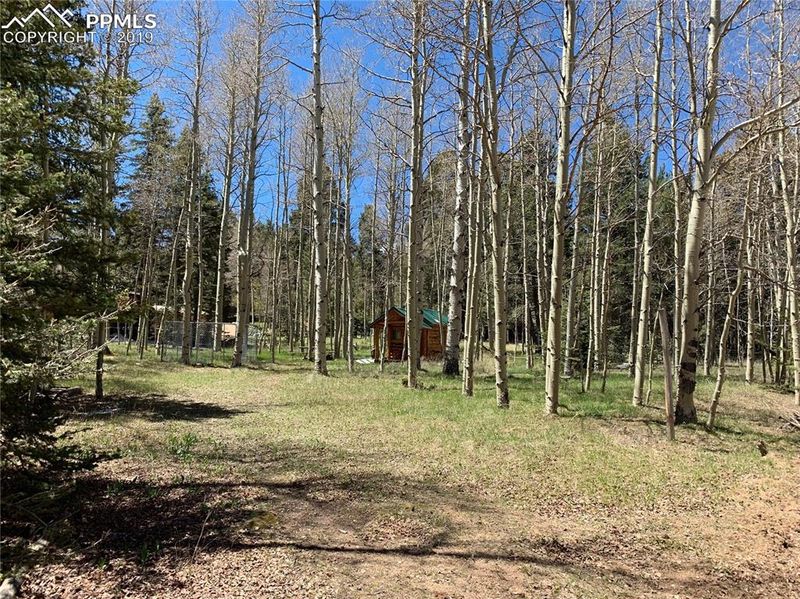 550 Sir Richard Dr, Divide, CO 80814