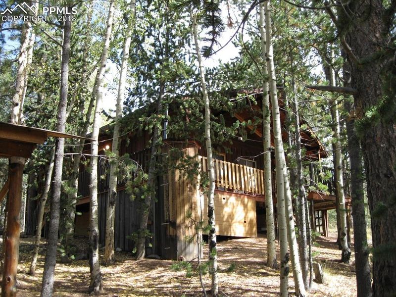 551 Calcite Dr, Divide, CO 80814
