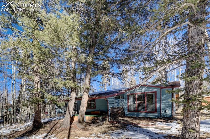 551 Sir Richard Dr, Divide, CO 80814