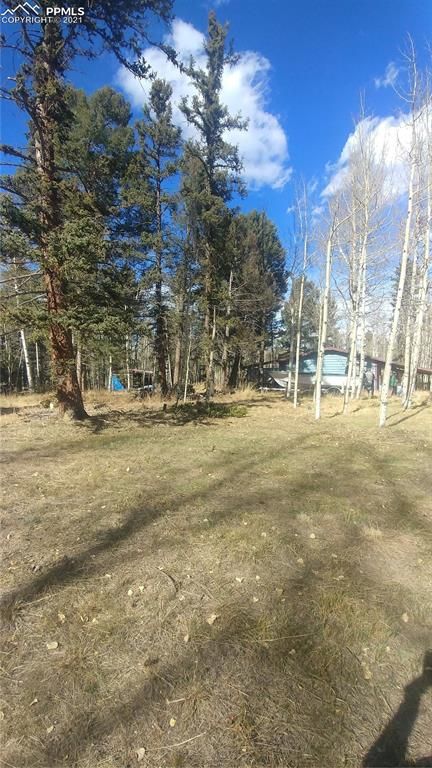 551 Sir Richard Dr, Divide, CO 80814