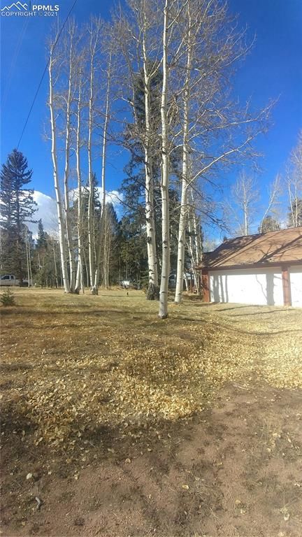 551 Sir Richard Dr, Divide, CO 80814