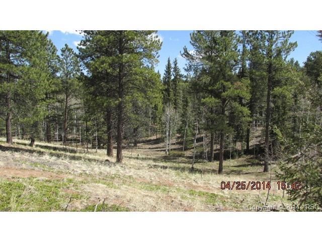 5526 North Rd, Divide, CO 80814