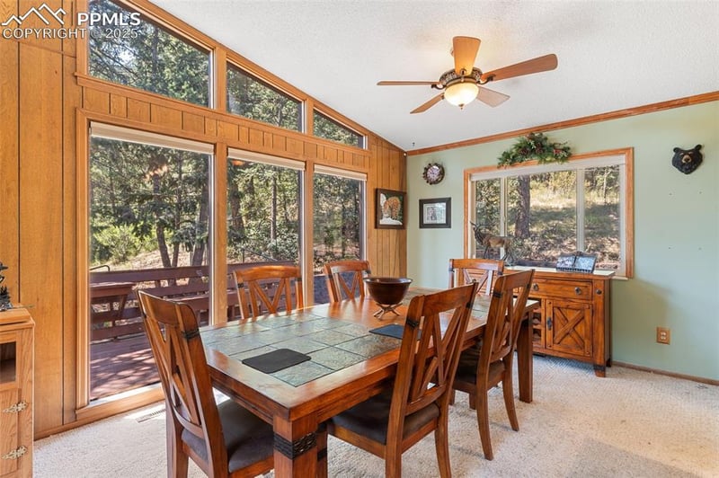 5580 Moosa Rd, Cascade, CO 80809