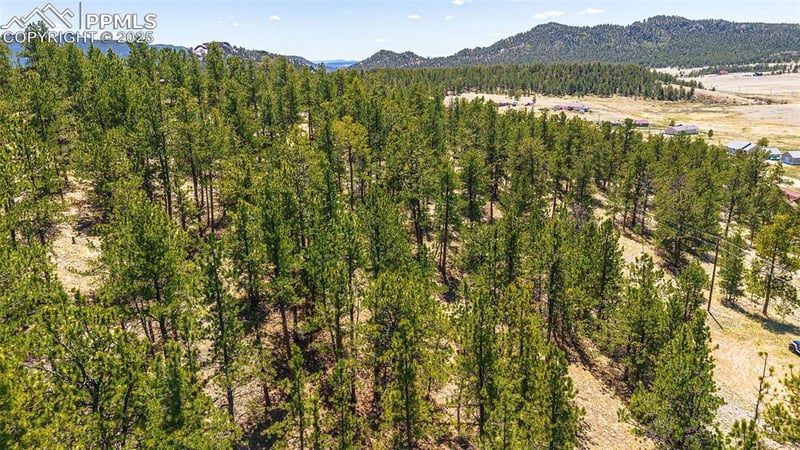 56 Dallas Park Cir, Florissant, CO 80816