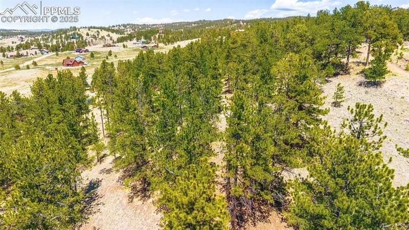 56 Dallas Park Cir, Florissant, CO 80816