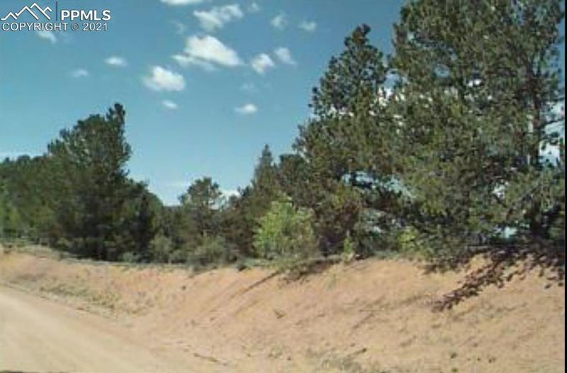 563 Oil Creek Dr, Divide, CO 80814