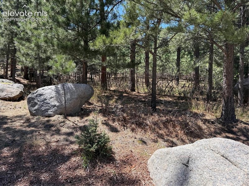 5630 Jarman St, Colorado Springs, CO 80906