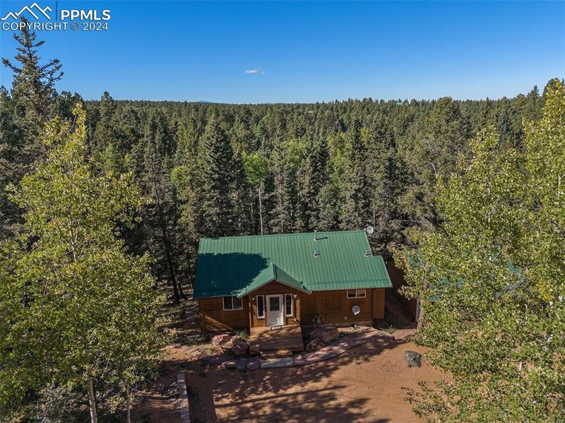 564 Black Bear Dr, Divide, CO 80814