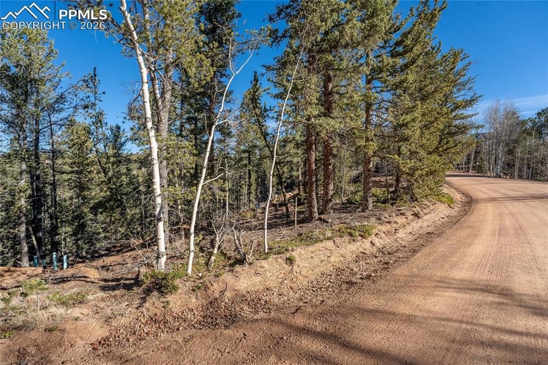 565 Fairview Dr, Cripple Creek, CO 80813