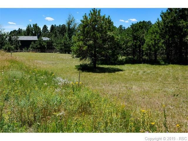 565 Tam O Shanter Way, Monument, CO 80132