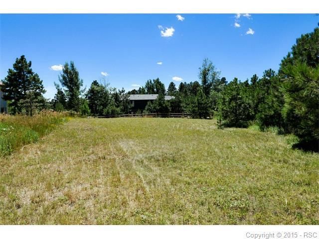 565 Tam O Shanter Way, Monument, CO 80132