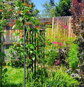 5680 Whimsical Dr, Colorado Springs, CO 80917