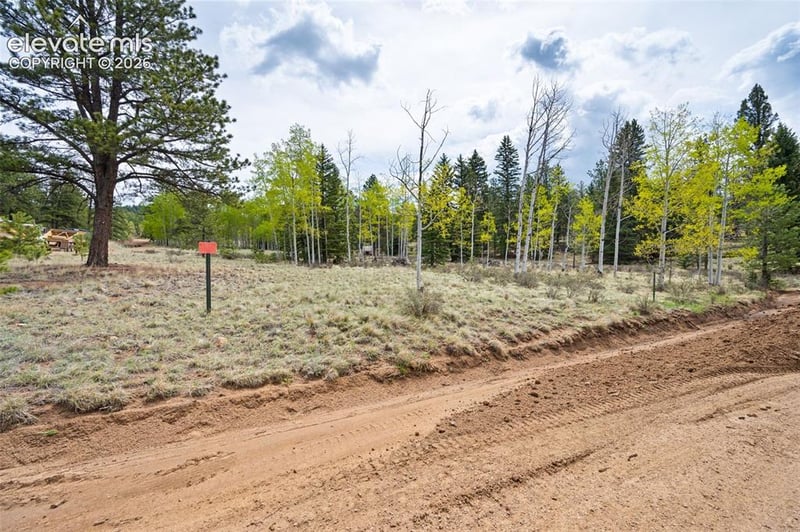 57 Beaver Creek Dr, Lake George, CO 80827