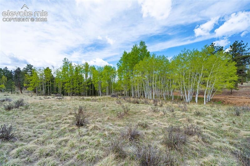 57 Beaver Creek Dr, Lake George, CO 80827