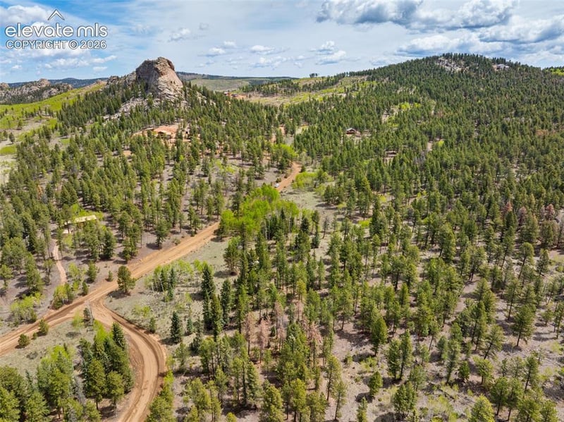 57 Beaver Creek Dr, Lake George, CO 80827