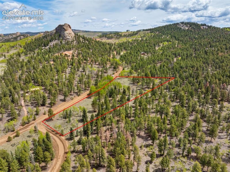 57 Beaver Creek Dr, Lake George, CO 80827