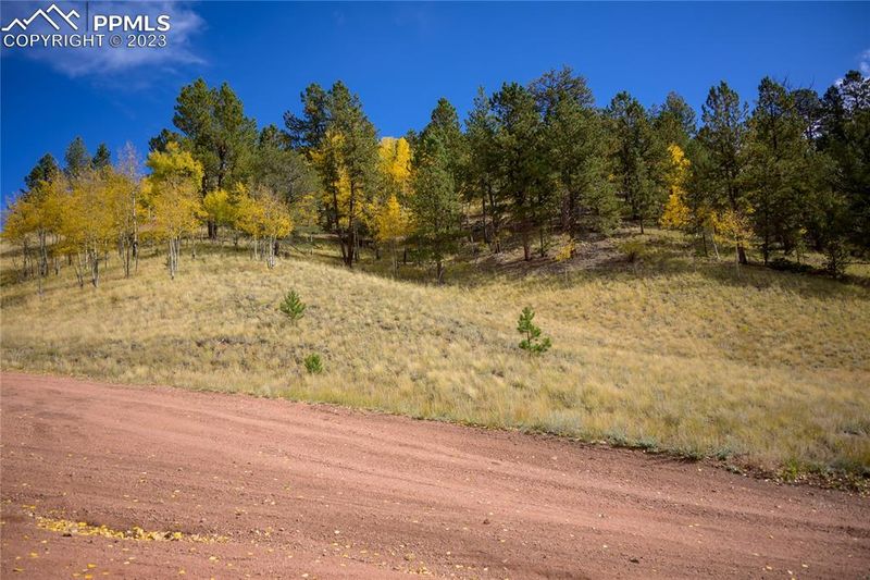 571 Beaver Pond Rd, Divide, CO 80814