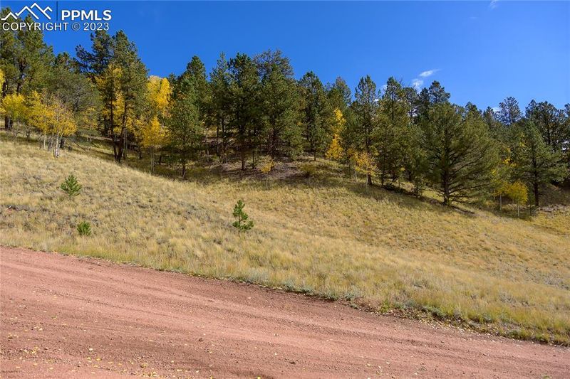 571 Beaver Pond Rd, Divide, CO 80814