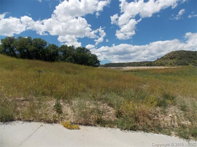 571 Granger Ct, Castle Rock, CO 80109