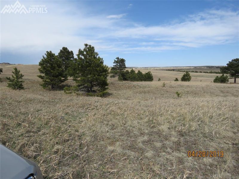 5735 Hodgen Rd, Colorado Springs, CO 80908