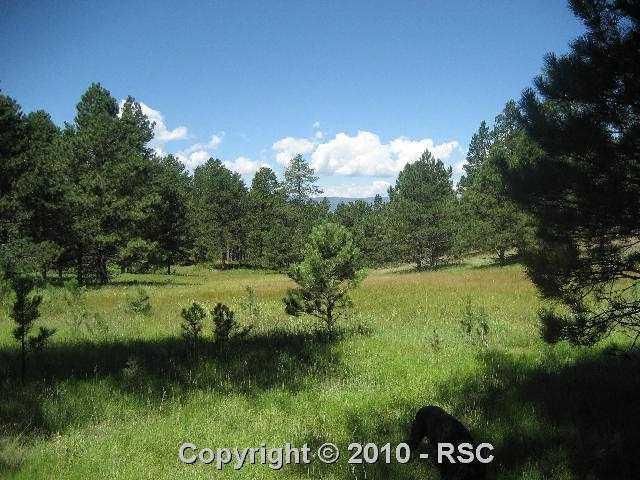 5740 Burgess Rd, Colorado Springs, CO 80908