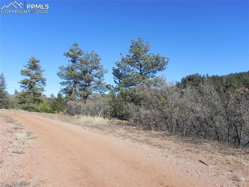 5775 Cheyenne Dr, Larkspur, CO 80118