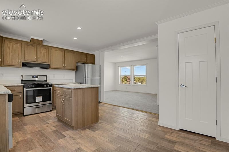 58 Elfin Glen Dr, Divide, CO 80814