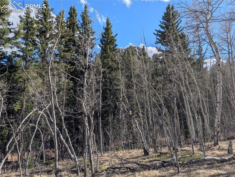 585 Eagle Rock Rd, Florissant, CO 80816