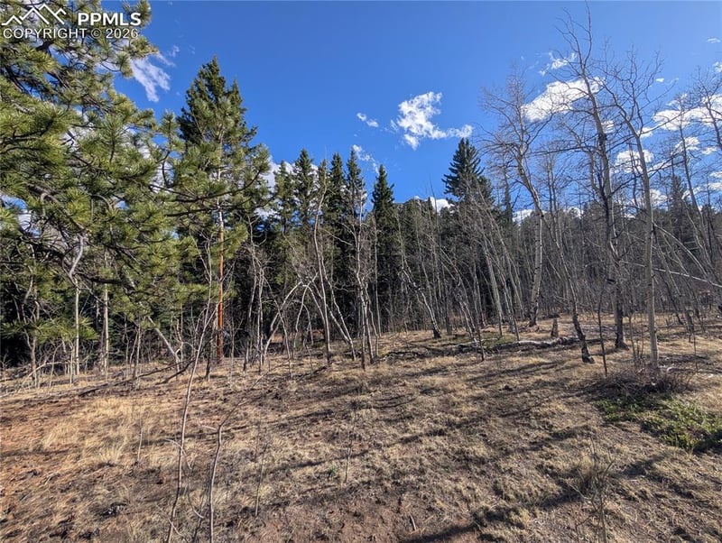 585 Eagle Rock Rd, Florissant, CO 80816