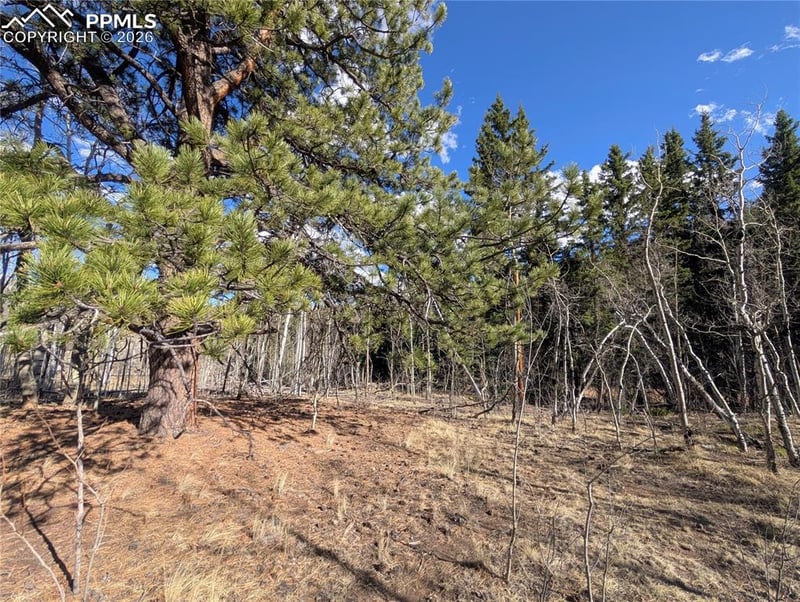 585 Eagle Rock Rd, Florissant, CO 80816