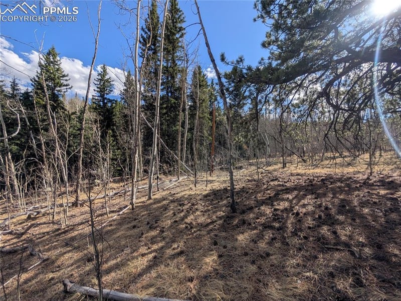 585 Eagle Rock Rd, Florissant, CO 80816